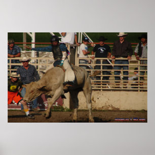 Póster El rodeo del oeste salvaje 0065 de McDaniel