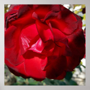 Póster El rojo del otoño