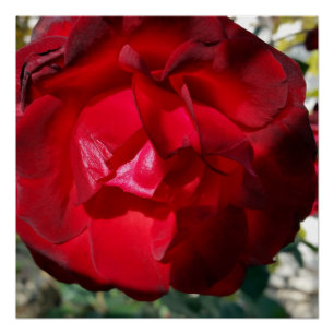 Póster El rojo del otoño