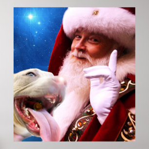 Póster el rojo sospechó el perro y a Papá Noel de Pitbull