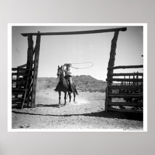 Póster El roping del vaquero