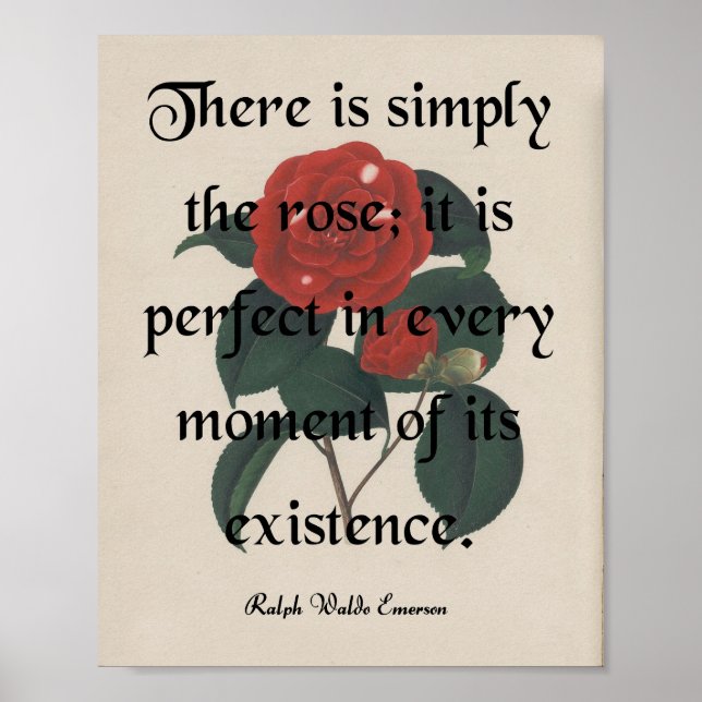 Póster El Rosa (Frente)