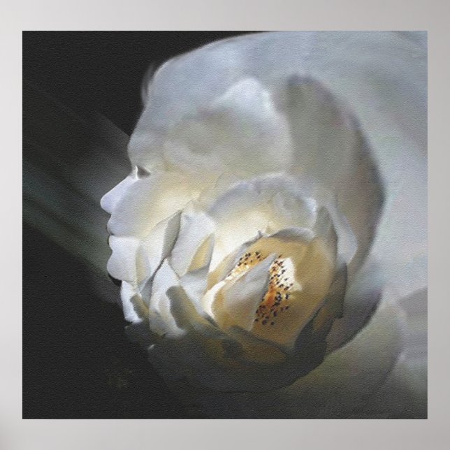 Póster El Rosa (Frente)