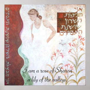 Póster El rosa de Sharon