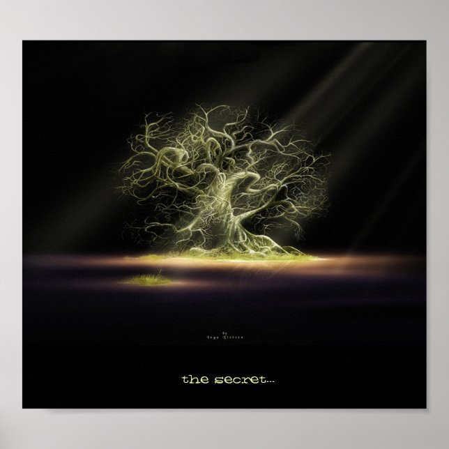 Póster ¿el secreto? (Frente)