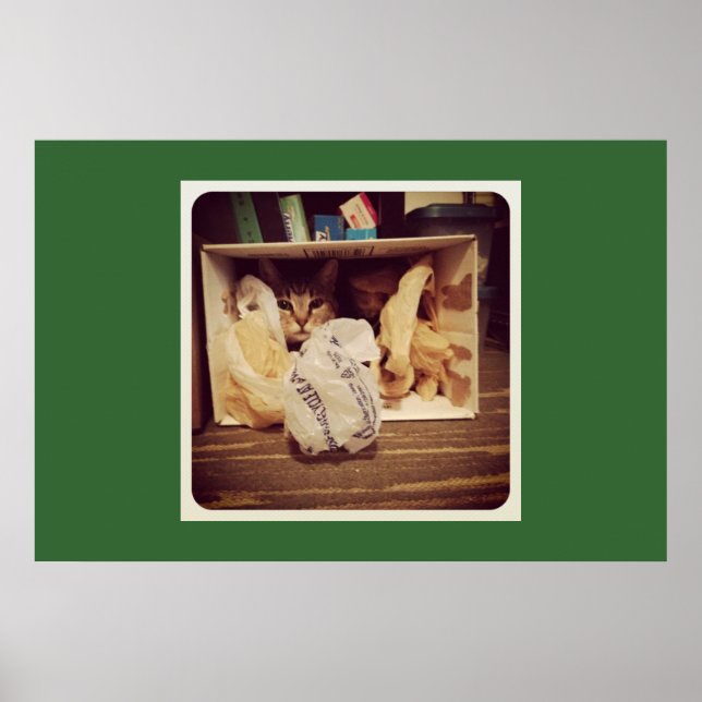 Póster El secreto del índigo (Frente)