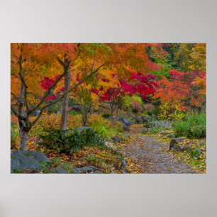 Póster El sendero conduce al banco del parque