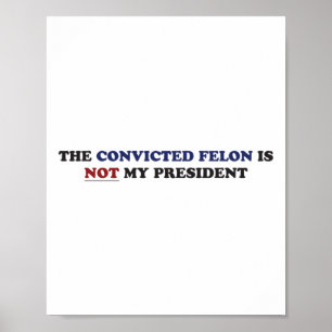 Póster El Sentente Condenado No Es Mi Presidente Funny Po