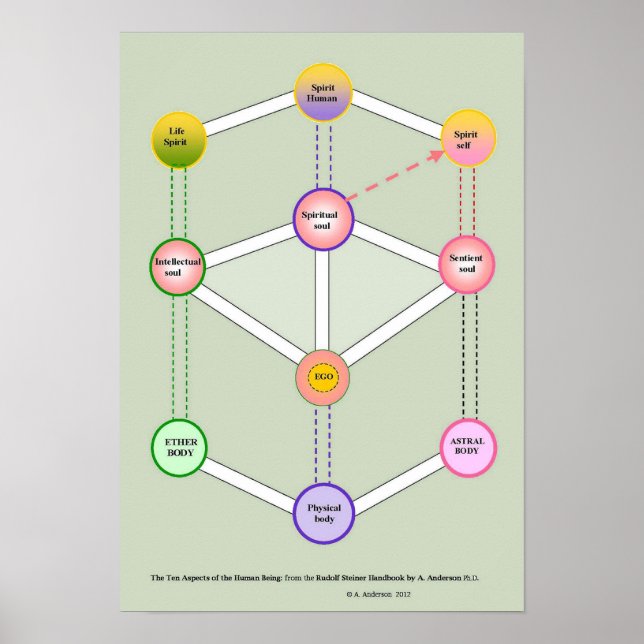 Póster El ser humano de las diez (Frente)