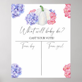 Póster El sexo de la calabaza revela la gráfica de niño o