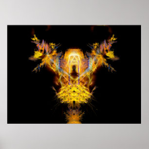 Póster El Shaman despierta