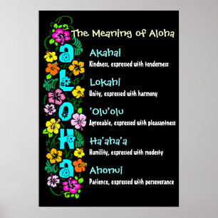 Póster El significado de Aloha