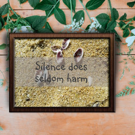 Póster El silencio rara vez perjudica a la sabiduría dici