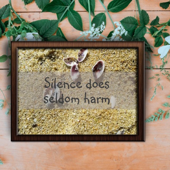 Póster El silencio rara vez perjudica a la sabiduría dici (Subido por el creador)
