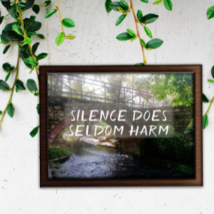 Póster El silencio rara vez perjudica al poster del puent
