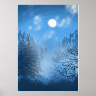 Póster El silencioso Poster del dosel forestal