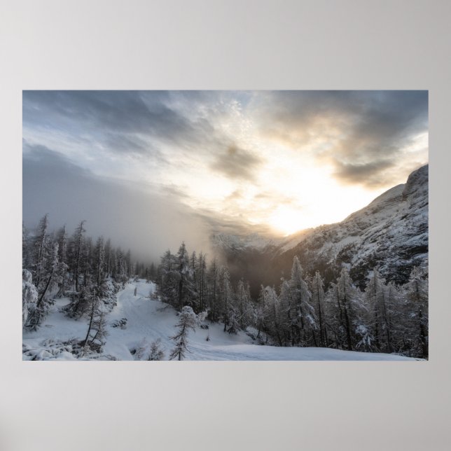 Póster El sol brilla en un impresionante paisaje invernal (Frente)