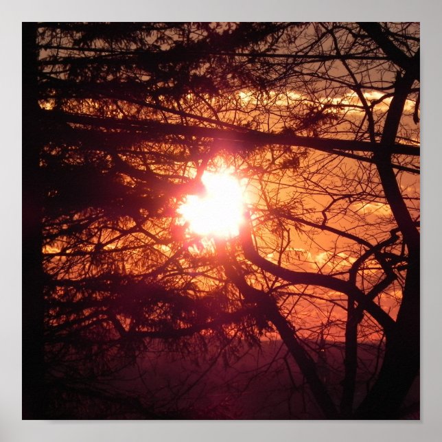 Póster El Sol de Invierno (Frente)