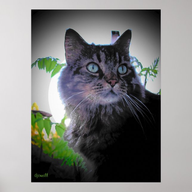 Póster El sol de la mañana está levantado (Frente)