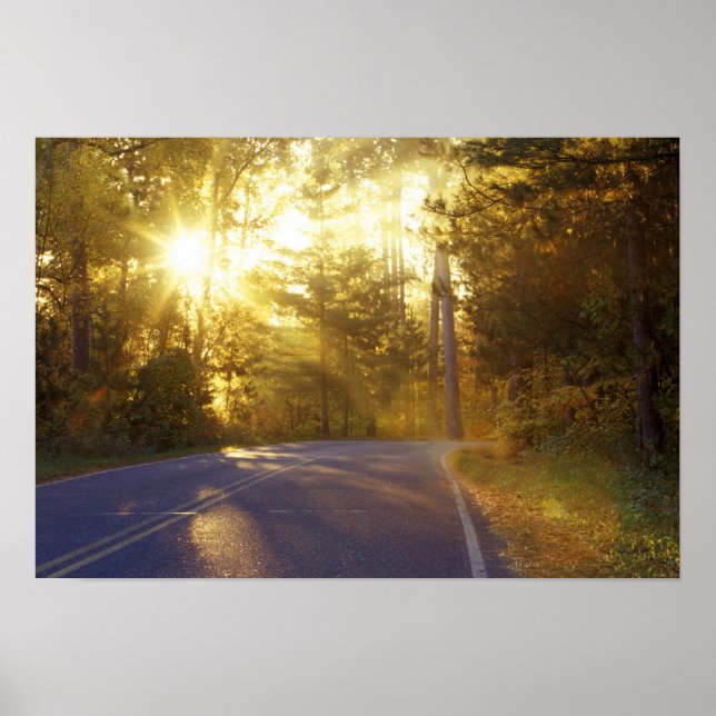 Póster El sol irrumpe a través del bosque en la carretera (Frente)