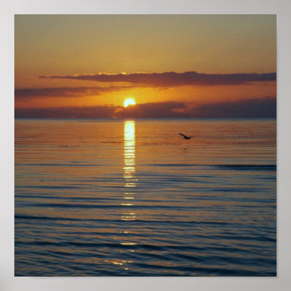 Póster El sol se elevará