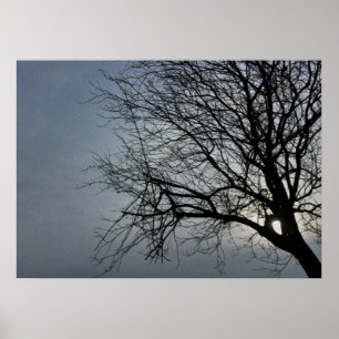 Póster el sol se oculta