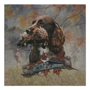 Póster El Sprocker Spaniel, el arte del perro de las arma