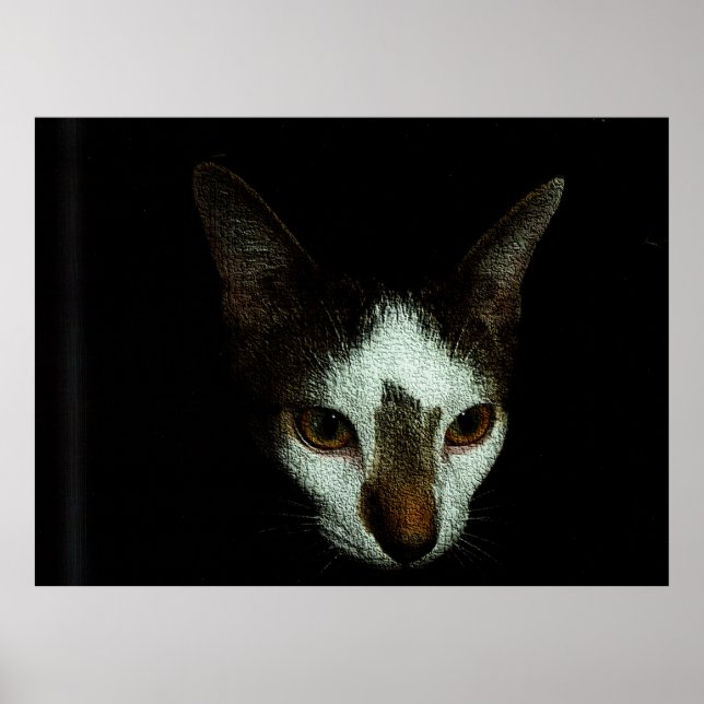 Póster El Sr. Bud en Reposo (Frente)