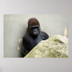 Póster El Sr. Gorilla tuvo un mal día