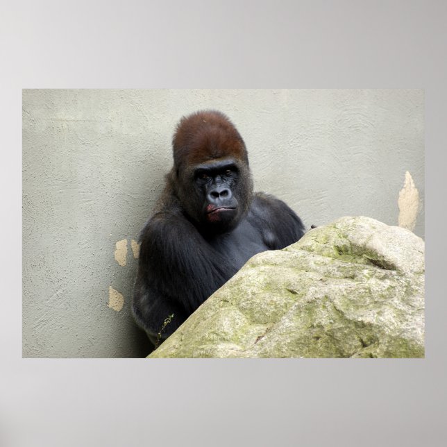Póster El Sr. Gorilla tuvo un mal día (Frente)