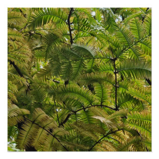 Póster El suave conquista a los duros