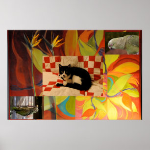 Póster El sueño de Euclid