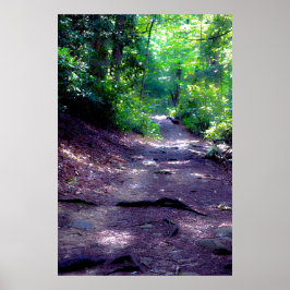 Póster El sueño de una senda de senderismo