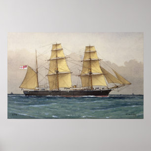 Póster El Swan salvaje, 1906