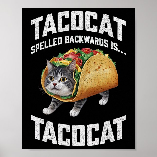 Póster El Tacocat Hecha Hacia Atrás Es El Gato Taco De La (Frente)