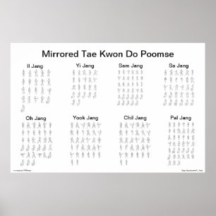 Póster El Taekwondo reflejado Poomse