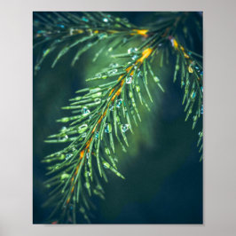 Póster El tapiz de la naturaleza: Capturando la belleza d