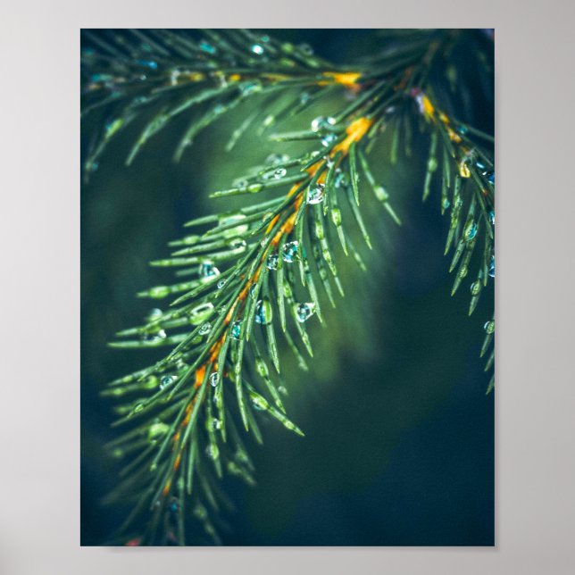 Póster El tapiz de la naturaleza: Capturando la belleza d (Frente)