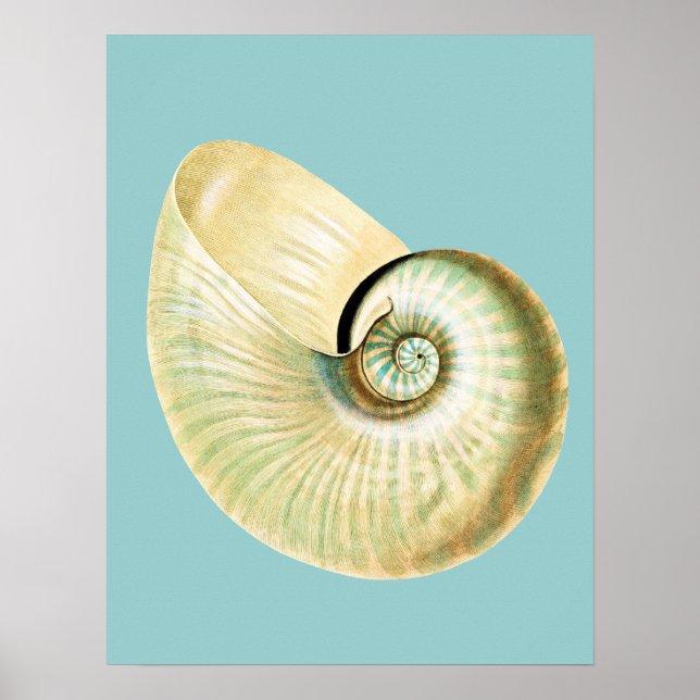 Póster El tema de la playa inspirado en Zen (Frente)