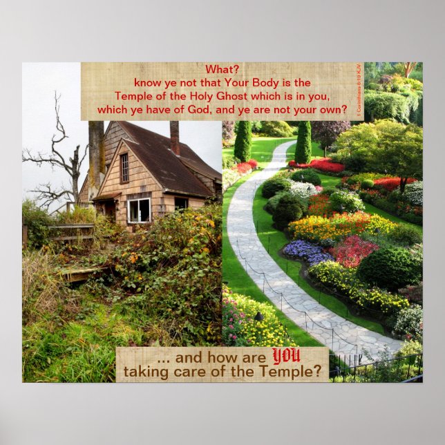 Póster El templo II de Dios (Frente)