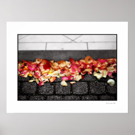 PÓSTER EL TERRENO EN EL QUE CAMINAS POSTER