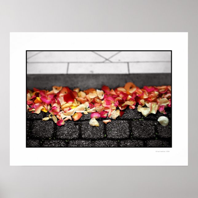 PÓSTER EL TERRENO EN EL QUE CAMINAS POSTER (Frente)