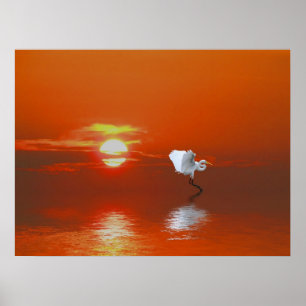 Póster El Tiempo De Mi Poster De Vida