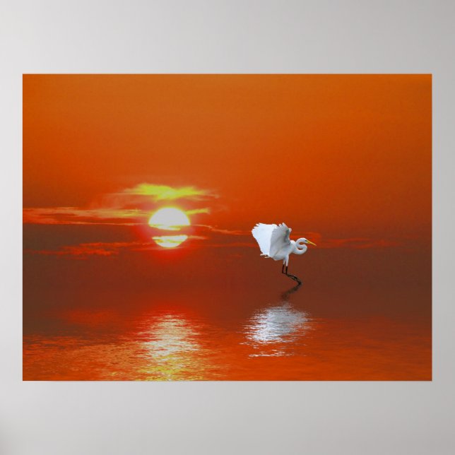 Póster El Tiempo De Mi Poster De Vida (Frente)