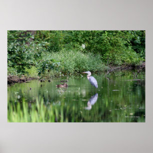 Póster El tiempo pasa en un minuto -"Imprimir en la galer