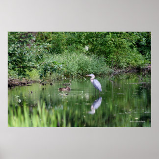 Póster El tiempo pasa en un minuto -"Imprimir en la galer