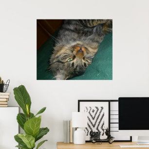 Póster El Tig