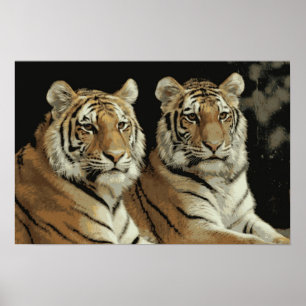 Póster El tigre hermana el poster