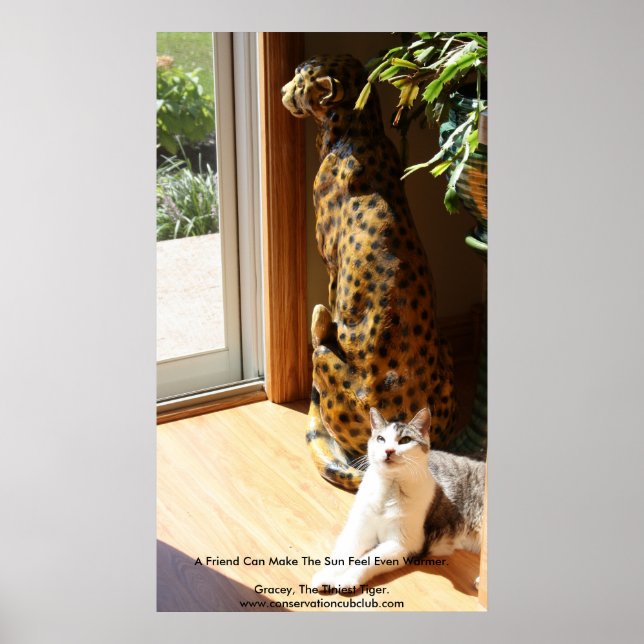 Póster El tigre más pequeño y el Kitty malo (Frente)