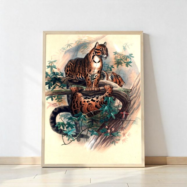 Póster El tigre nublado (Subido por el creador)